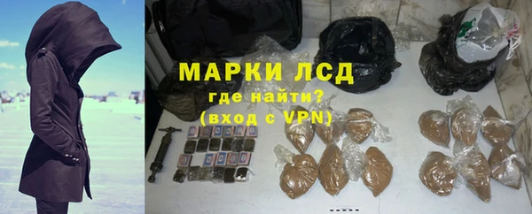 стаф Нестеровская