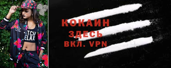 стаф Нестеровская