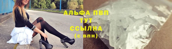 стаф Нестеровская