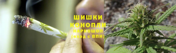 хмурый Калининец
