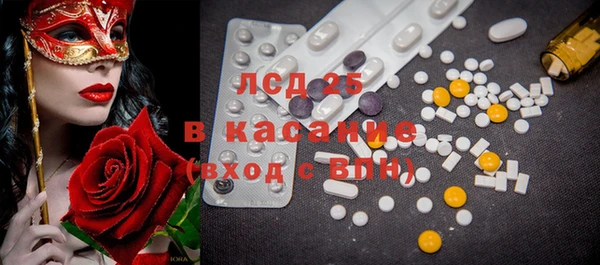 стаф Нестеровская