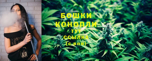 хмурый Калининец