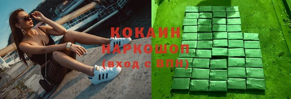 стаф Нестеровская